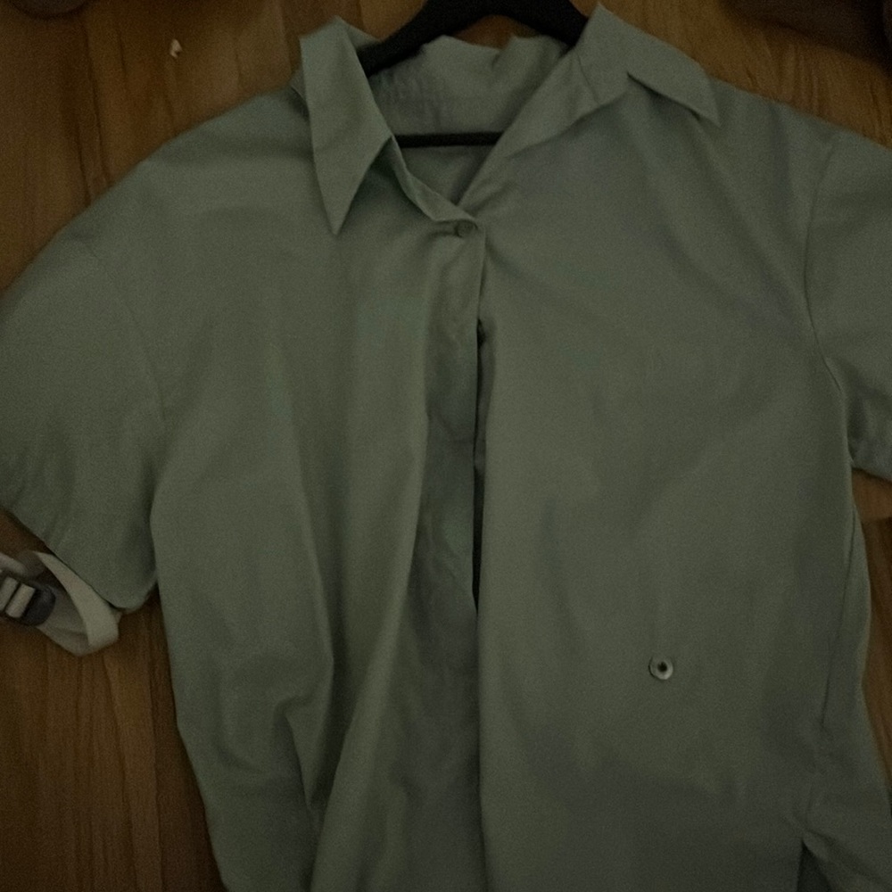 Mint button down